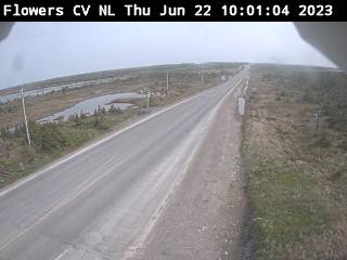 Newfoundland webcam - Flower's Cove, Northern Peninsula webcam, Newfoundland and Labrador, Newfoundland